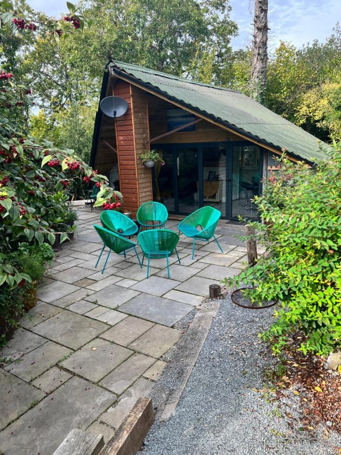 The Shed . A Cosy, Peaceful, 96% Recycled, Chalet. Swansea Exterior foto